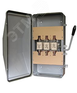 Ящик силовой ЯБПВУ-100-ЭК У3, с ПН-2 100А, IP54