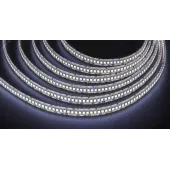 Лента светодиодная NLS-2835CW240-24-IP65-12V