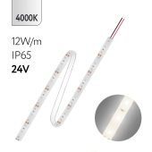FL-Strip 2835 | 24V IP65 4000K 12W/m 1250Lm/m | Катушка - 5 метров | - Светодиодная лента FOTON LIGHTING