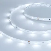 Лента LED RT 2-5000 24V White6000 0.5x (3528, 150 LED, LUX) (ARL, 2.9 Вт/м, IP20)