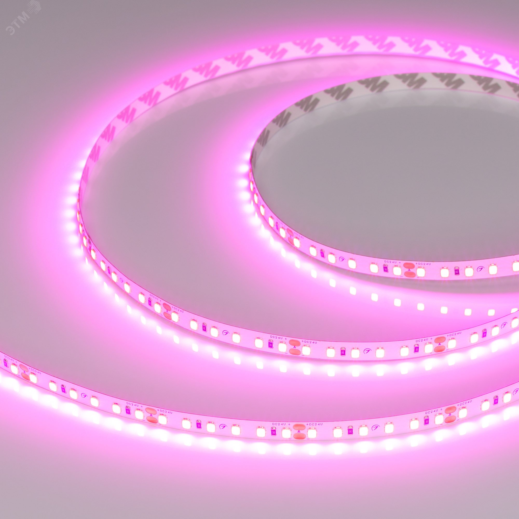 Лента RT-A120-8мм 24V Magenta (9.6 W/m, IP20, 2835, 5м) (-)