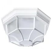 Светильник Тартаруга НПП 03-100-005 IP65 матовый /корпус с решеткой белый ИМ