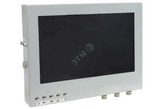 Монитор 21'' взрывозащищенный, 1920х1080, IP68, оцинк сталь, цифровой
