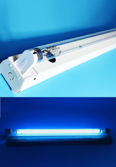 TUV 11W T5 G5 d16x226,3mm (UVC бактерицидная | без озона) - Лампа бактерицидная PHILIPS