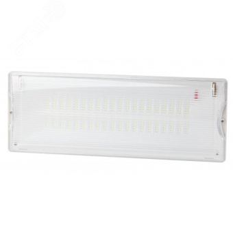 Аварийный светильник DPA-301-1-65 постоянный 40LED 3ч IP65 NiCD