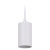 Светильник трековый LEDVANCE ECO PENDTRACKSP 1PHGU10 WTRD 36X1RULEDV Светильник трековый LEDVANCE ECO PENDTRACKSP 1PHGU10 WTRD 36X1RULEDV