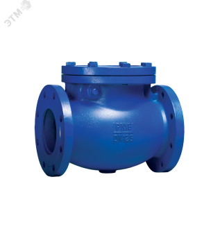 Обратный клапан RD30-200 DN 200 PN 16 Тмакс.град 300 ф/ф чугун/чугун