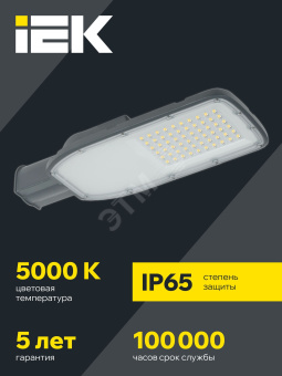 Светильник светодиодный консольный ДКУ 1004-100Ш 5000К IP65 серый IEK