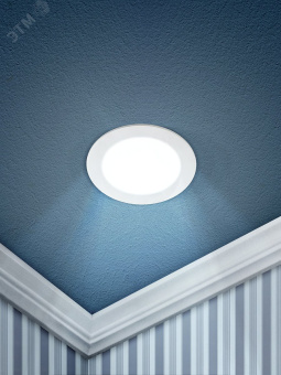 Светильник светодиодный круглый LED 9W 220V 6500K LED 1-9-6K ЭРА
