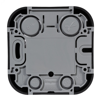 Розетка компьютерная RJ45 категория 5e UTP - Legrand Quteo - IP20 накладной монтаж - чёрный матовый