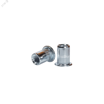 Заклепка резьбовая с плоским бортиком M10(13) B:19 (250)