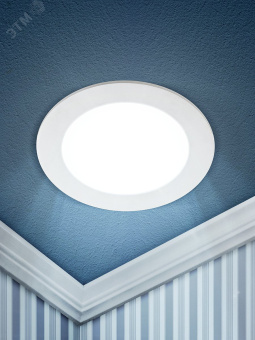 Светильник светодиодный круглый LED 24W 220V 6500K LED 1-24-6K ЭРА