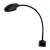 Веста С16-034 ПДБ63-5-001 (LED, 5 вт, 4000К привинч. осн., гибкая стойка 545 мм), кл. выкл. черный Веста С16-034 ПДБ63-5-001 (LED, 5 вт, 4000К привинч. осн., гибкая стойка 545 мм), кл. выкл. черный
