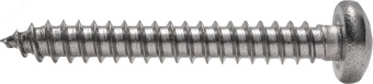 Саморез с полукруглой головкой DIN 7981  5,5x 19 A2